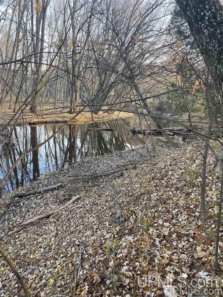 Tbd River Road, Unit 2 Wallace, MI 49893 - Photo 2 of 3