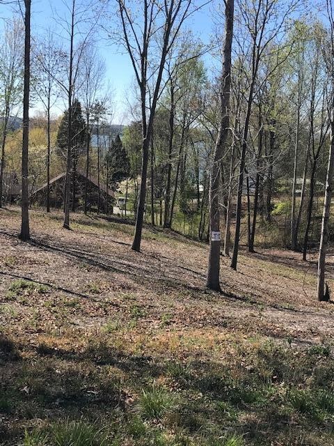 12 Piney View Drive Spring City, TN 37381 - Photo 1 of 2