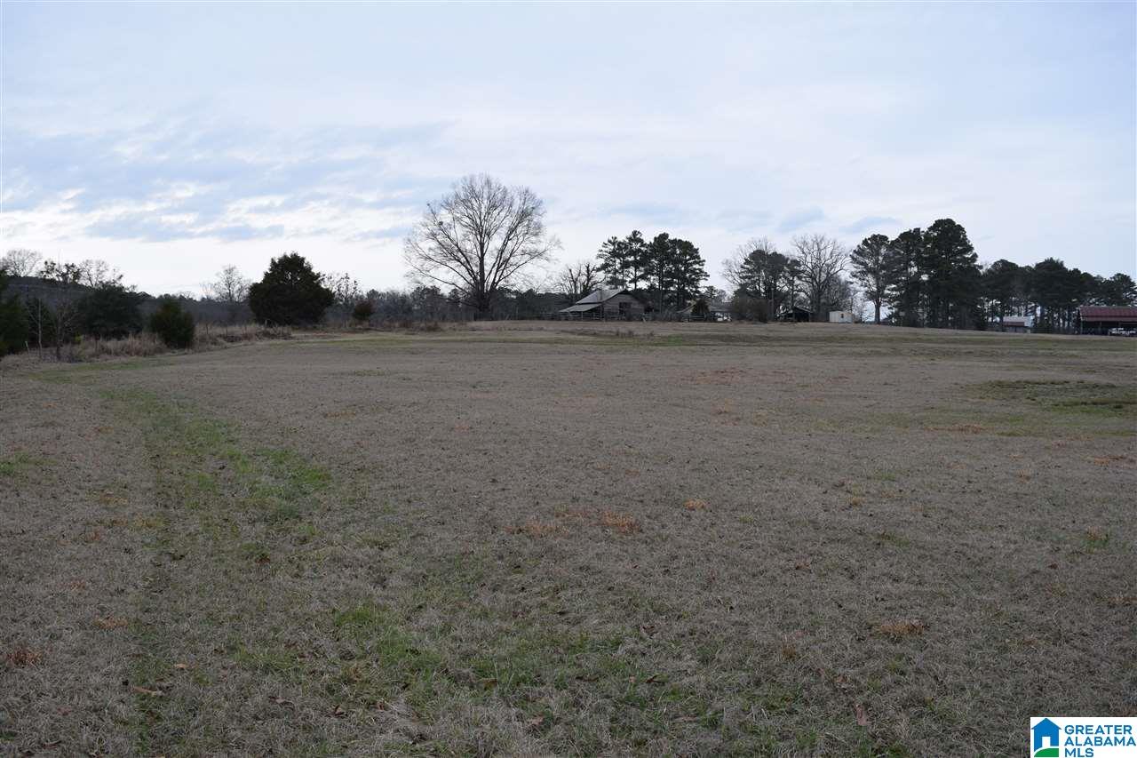 11218 Vance Blocton Road Vance, AL 35490 - Photo 16 of 37