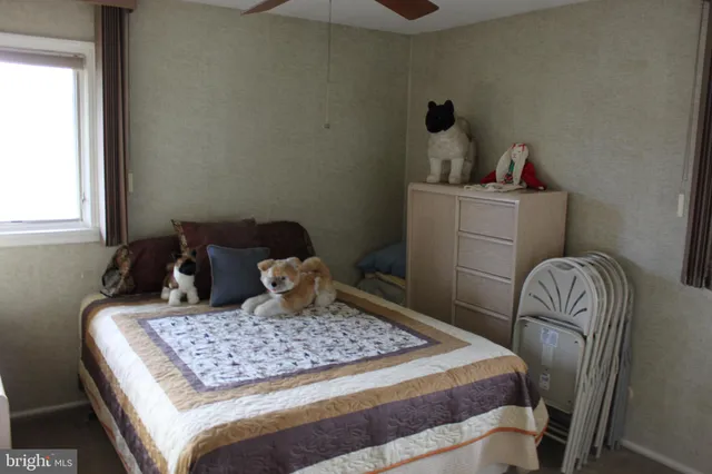 a bedroom with a bed and dresser