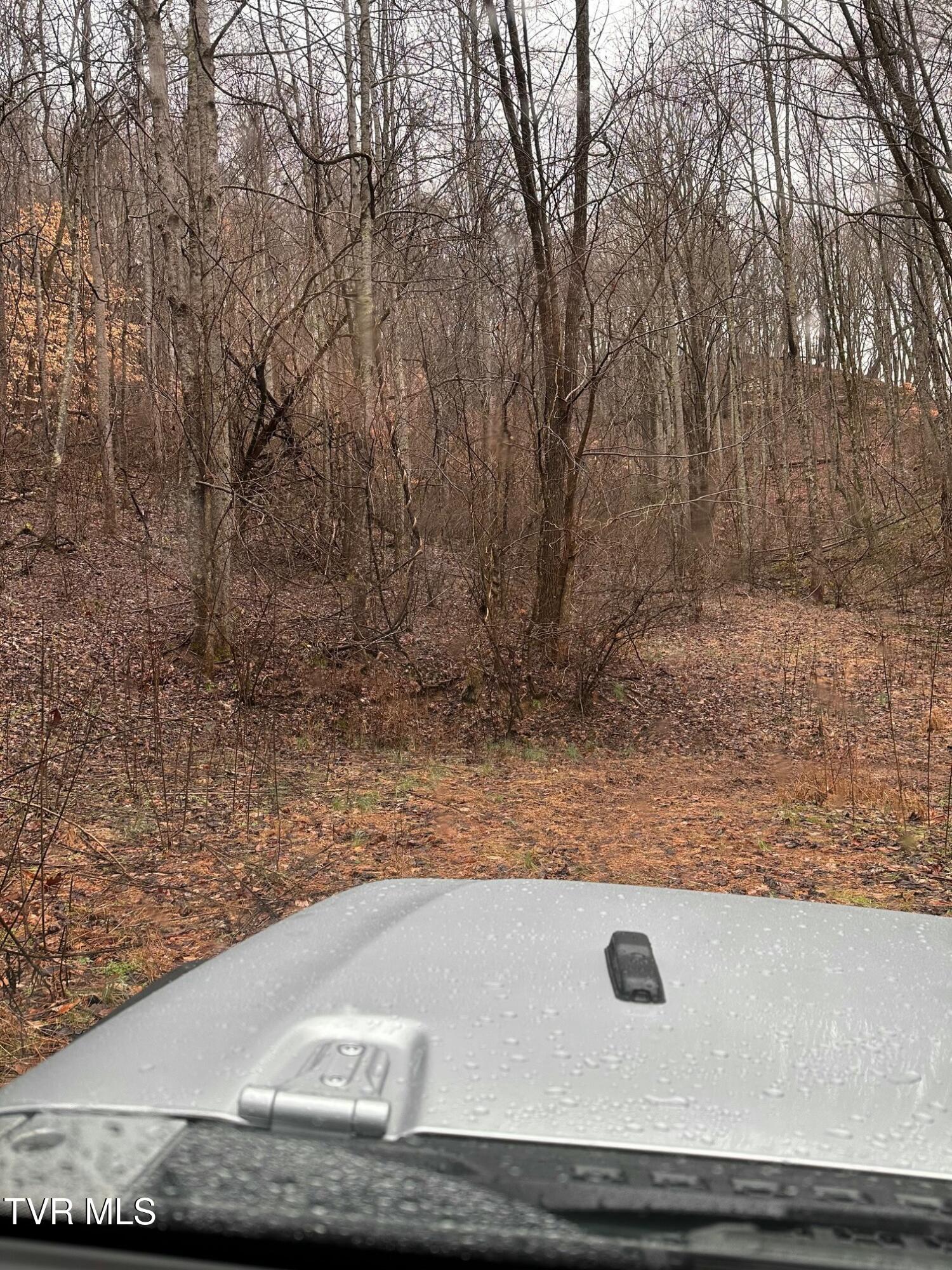 16037 Knights Bridge Road Abingdon, VA 24210 - Photo 4 of 13 tempImaged9mwj8