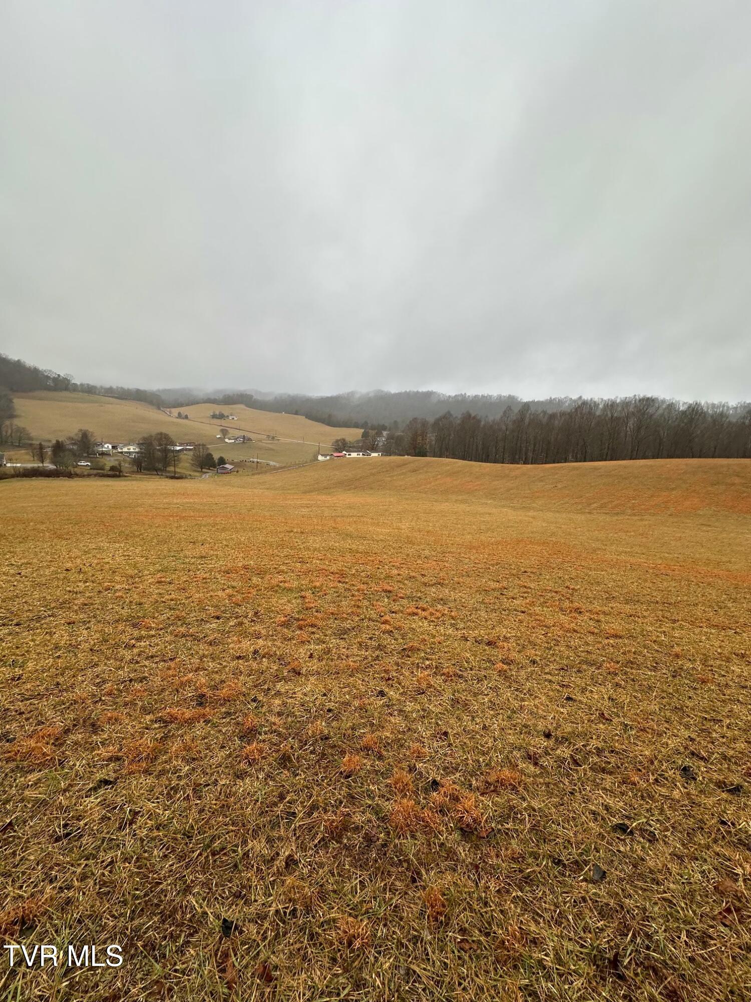 16037 Knights Bridge Road Abingdon, VA 24210 - Photo 6 of 13 tempImagey6PSA7