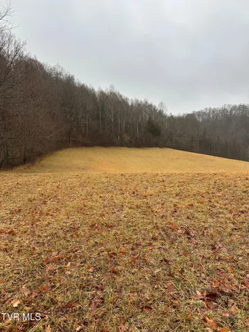 $429,000 | 16037 Knights Bridge Road, Abingdon, VA 24210