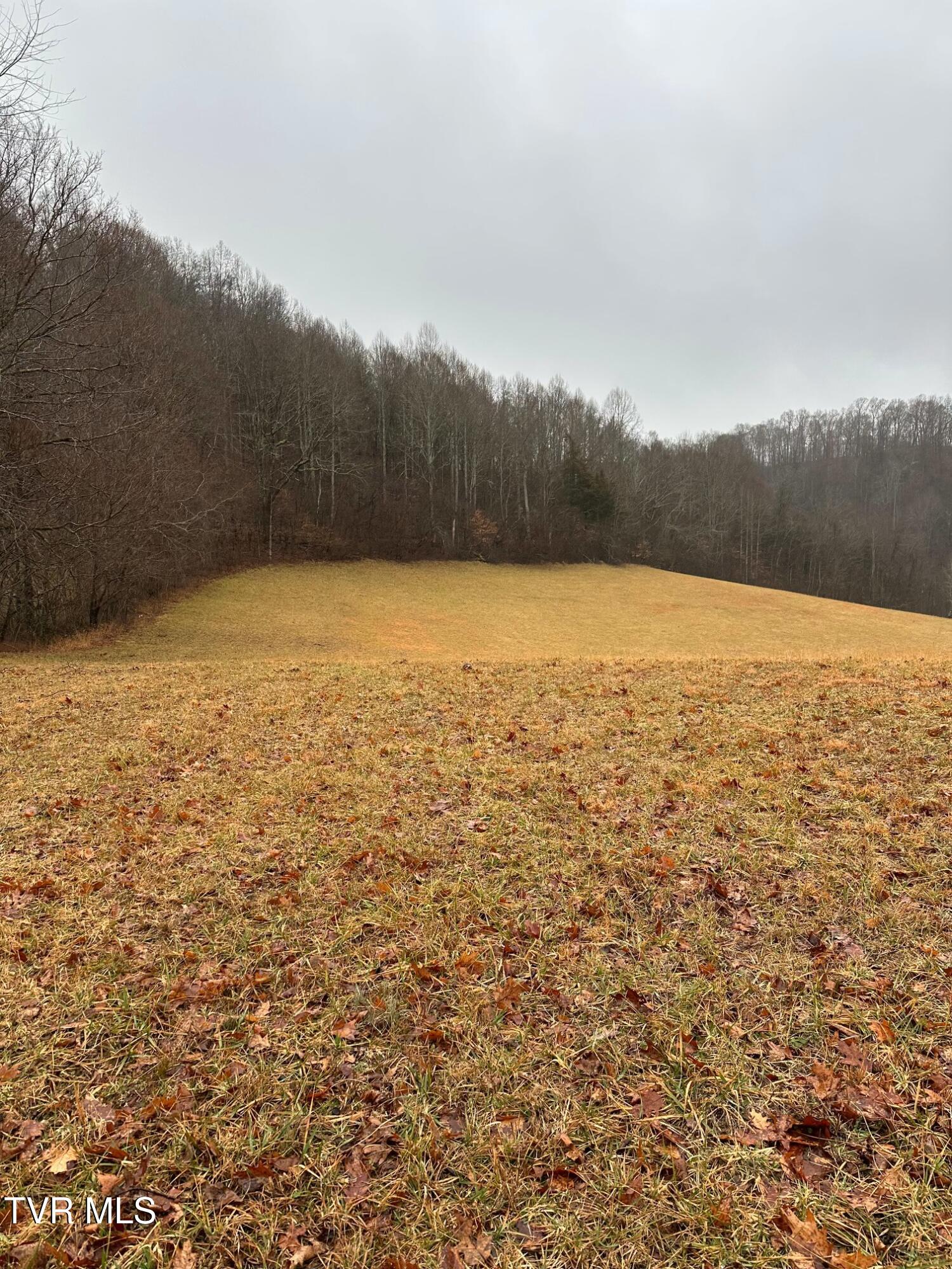 16037 Knights Bridge Road Abingdon, VA 24210 - Photo 7 of 13 tempImageKN0iTr