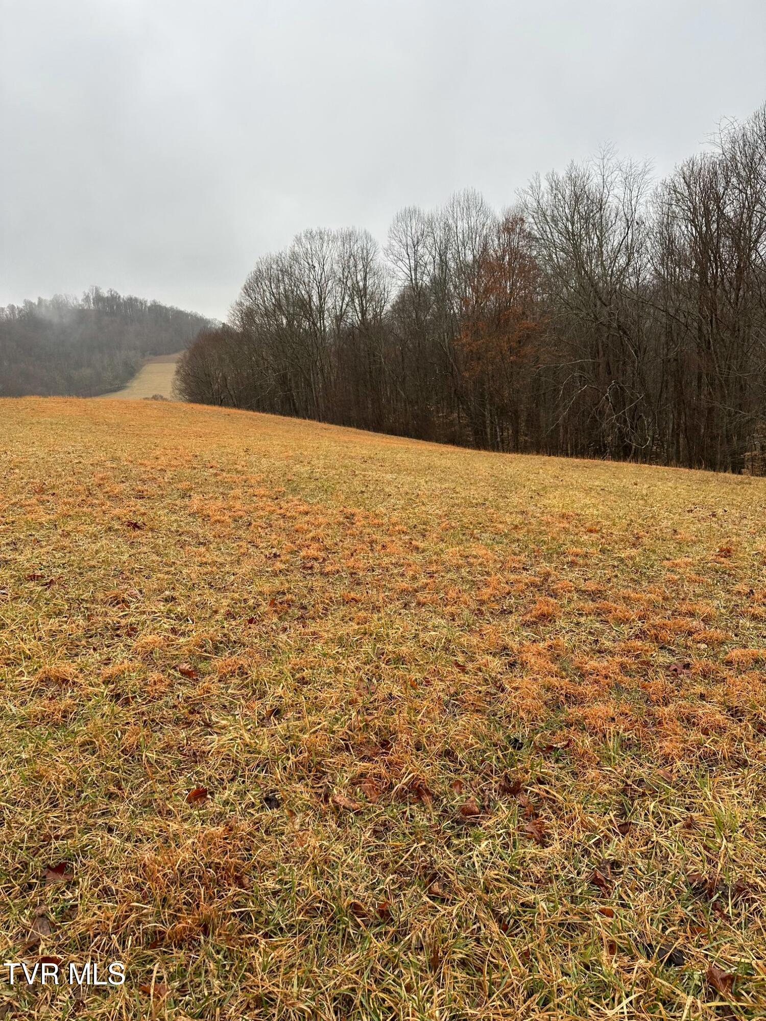 16037 Knights Bridge Road Abingdon, VA 24210 - Photo 9 of 13 tempImagebHMzqz