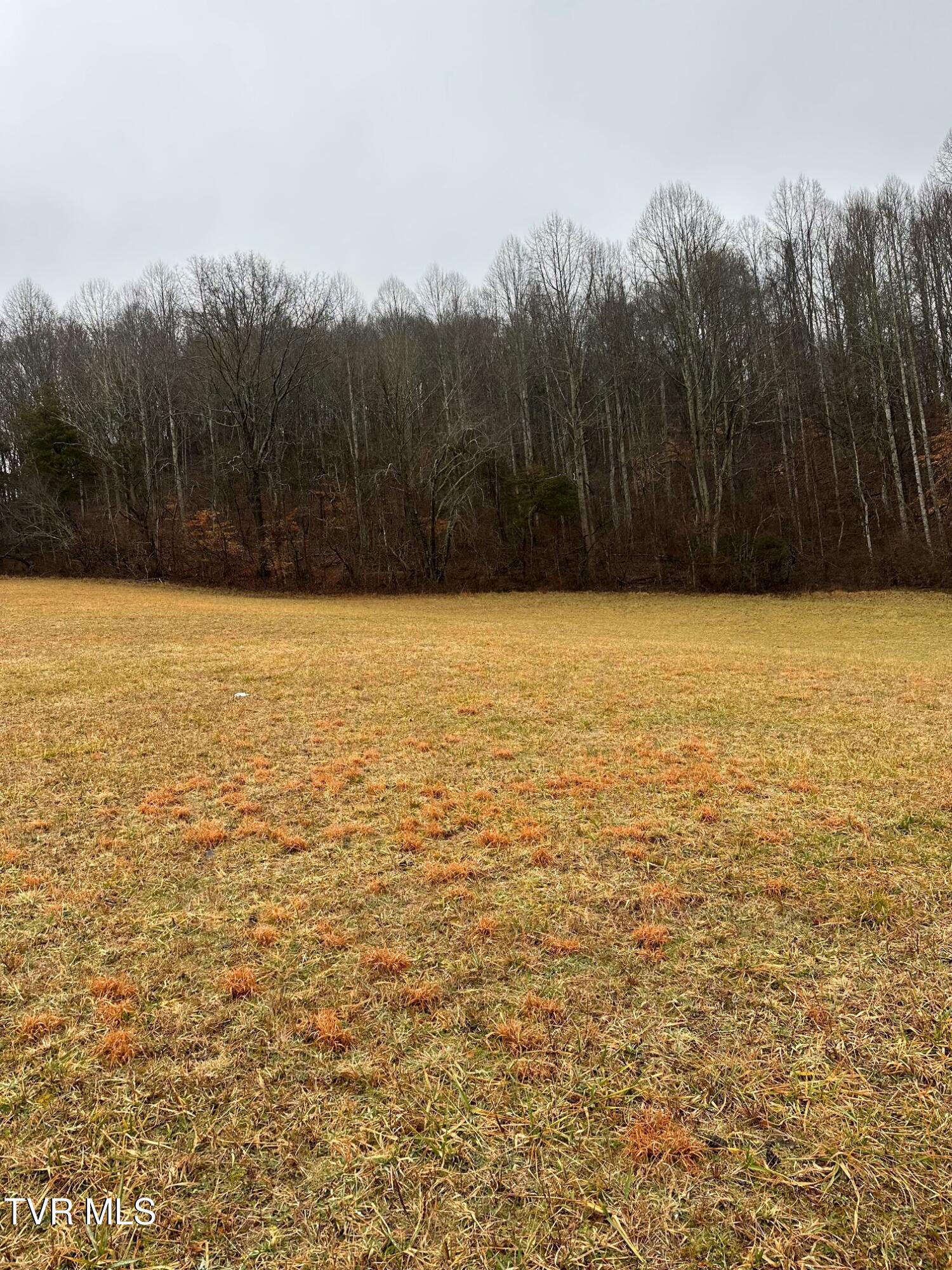 16037 Knights Bridge Road Abingdon, VA 24210 - Photo 10 of 13 tempImageoVLCFX