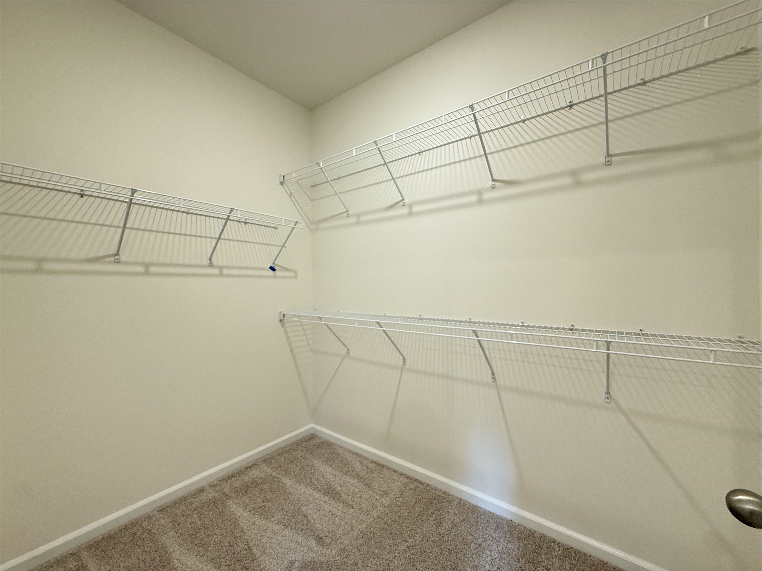 304 Palmetto Sand Loop Conway, SC 29527 - Photo 8 of 20