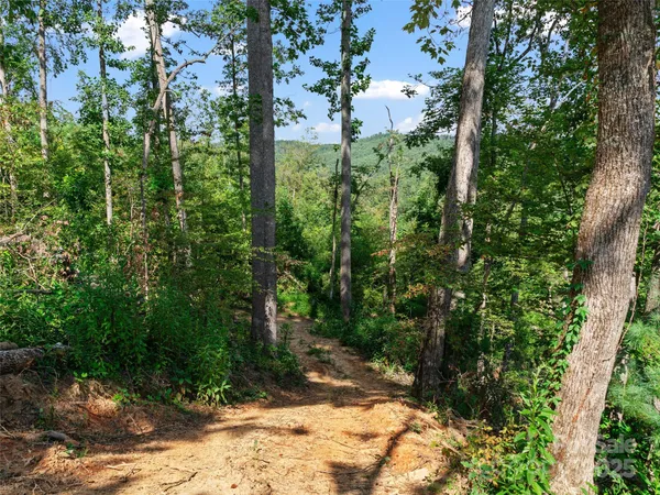 $375,000 | 99999 Youngs Gap Road, Fletcher, NC 28732