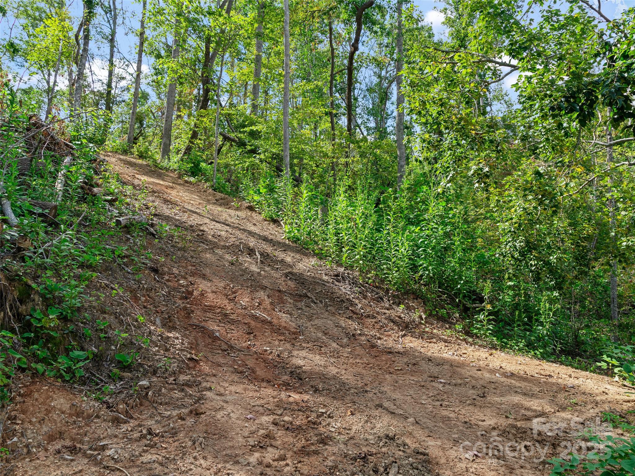 99999 Youngs Gap Road Fletcher, NC 28732 - Photo 17 of 34