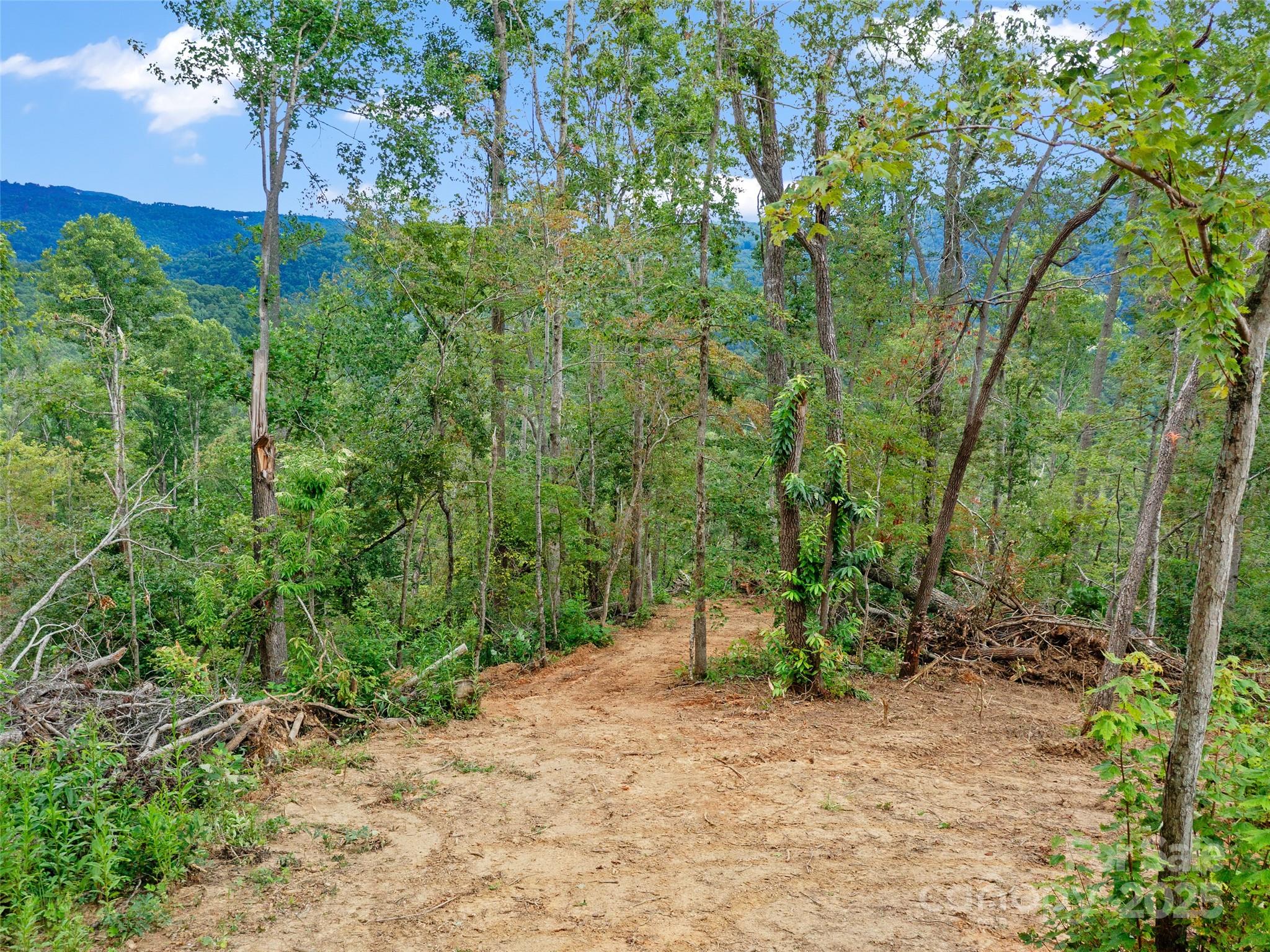 99999 Youngs Gap Road Fletcher, NC 28732 - Photo 20 of 34
