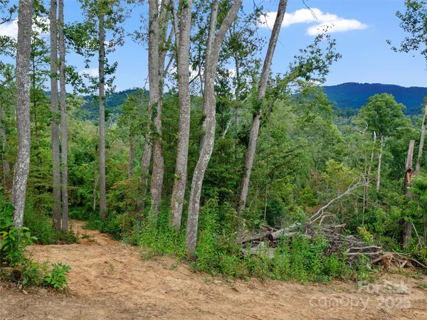 $375,000 | 99999 Youngs Gap Road, Fletcher, NC 28732
