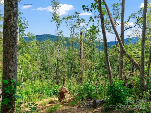$375,000 | 99999 Youngs Gap Road, Fletcher, NC 28732