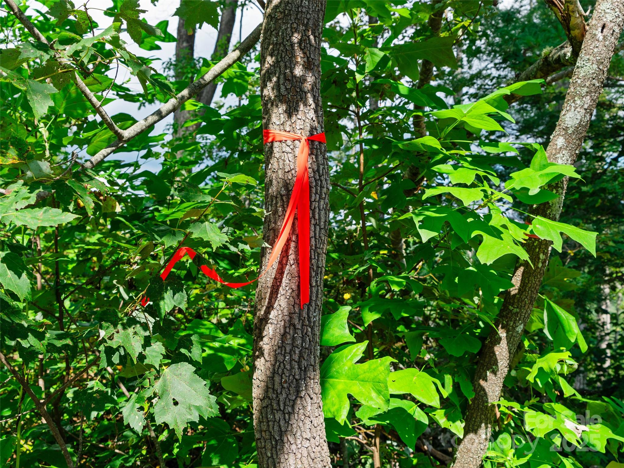 99999 Youngs Gap Road Fletcher, NC 28732 - Photo 26 of 34