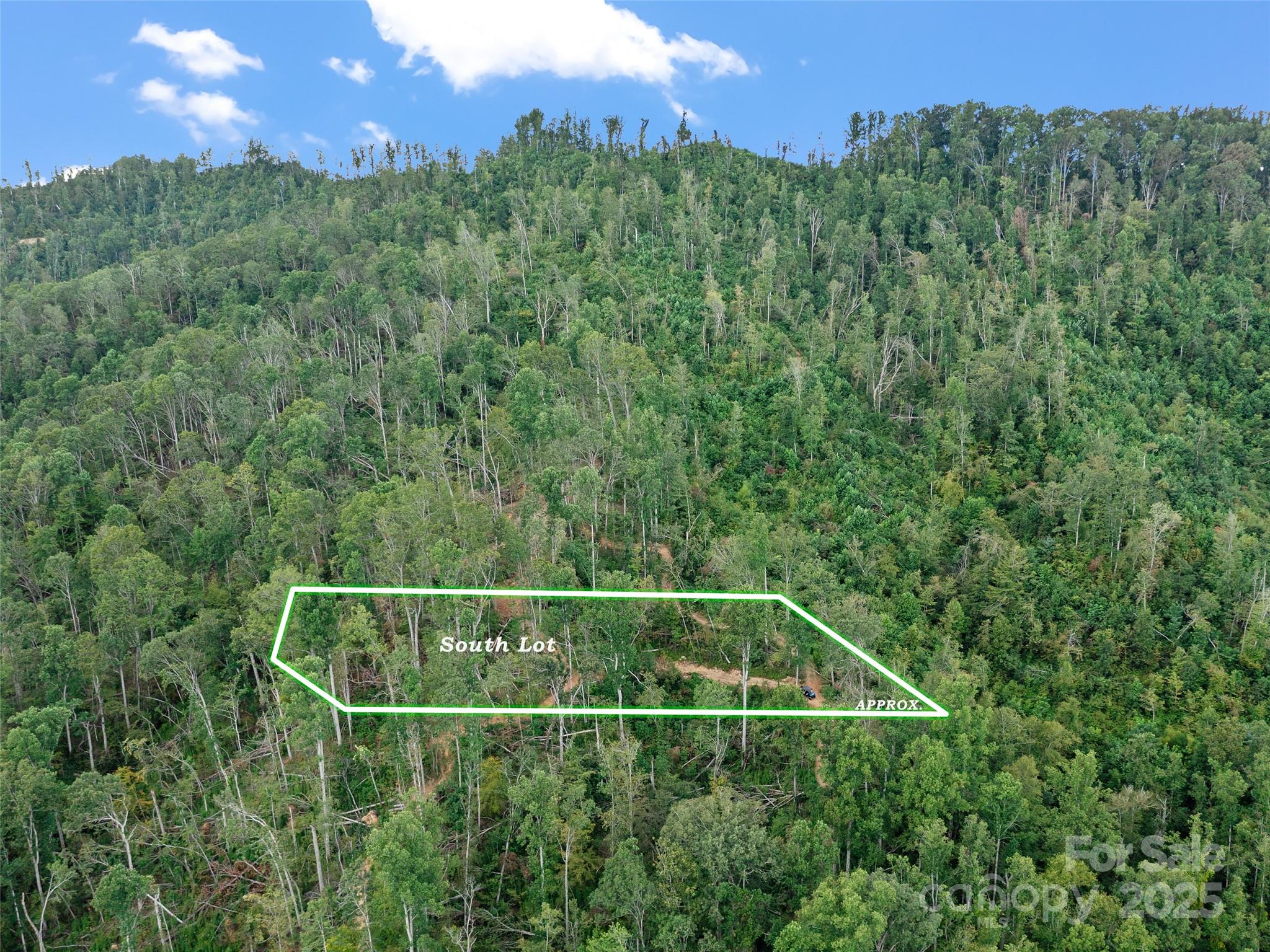 99999 Youngs Gap Road Fletcher, NC 28732 - Photo 27 of 34