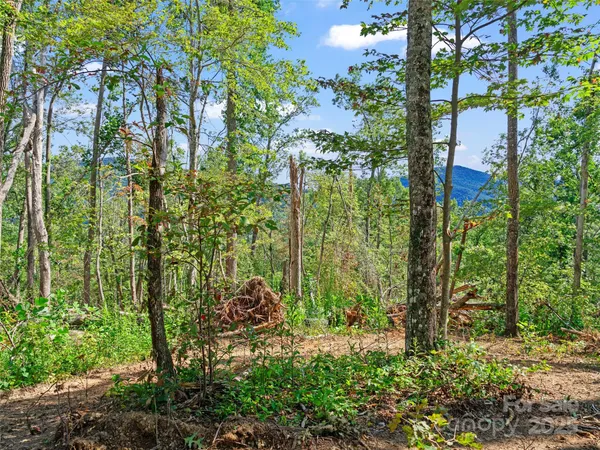 $375,000 | 99999 Youngs Gap Road, Fletcher, NC 28732