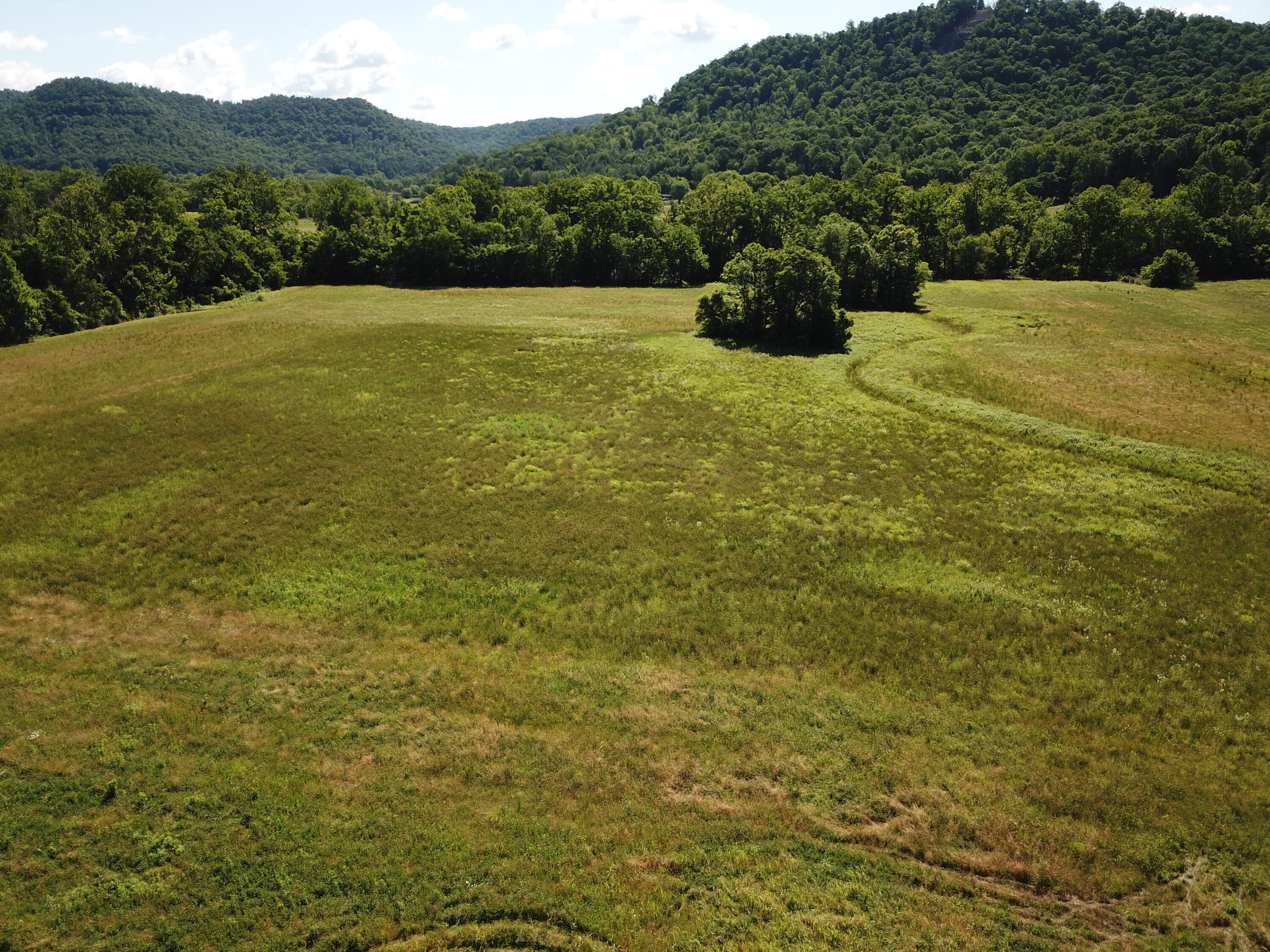 4105 Red Lick Road Irvine, KY 40336 - Photo 11 of 23 DJI_0056