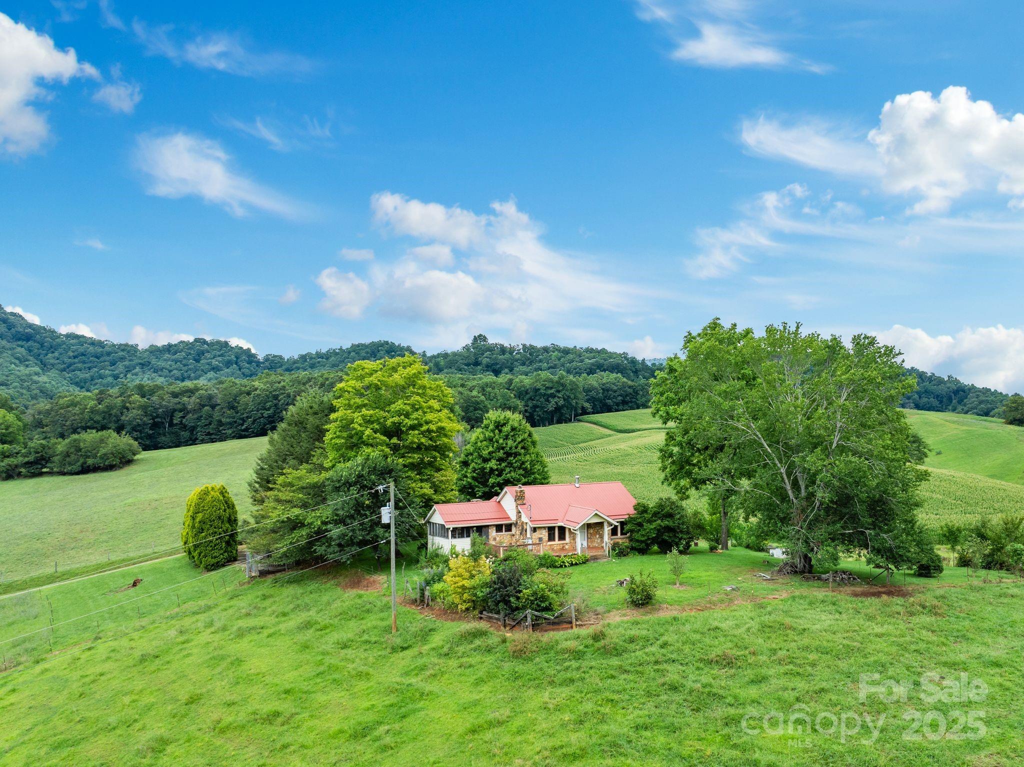 61 Brooks Branch Road Leicester, NC 28748 - Photo 1 of 43 Gallery Image 1