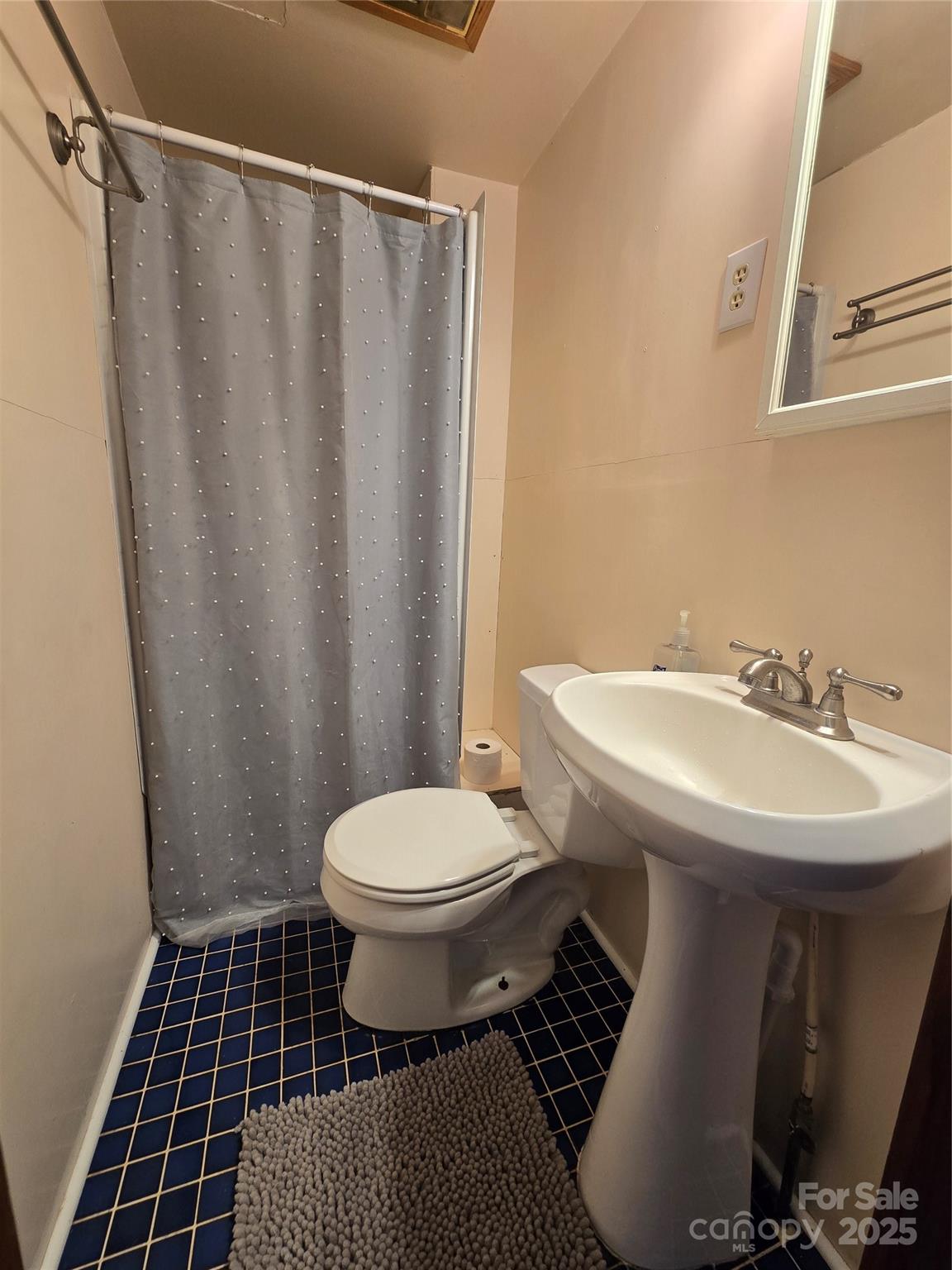 61 Brooks Branch Road Leicester, NC 28748 - Photo 14 of 43 Gallery Image 14