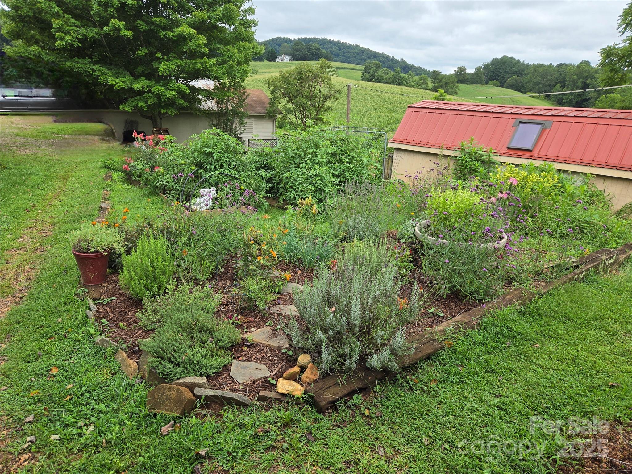 61 Brooks Branch Road Leicester, NC 28748 - Photo 35 of 43 Gallery Image 35