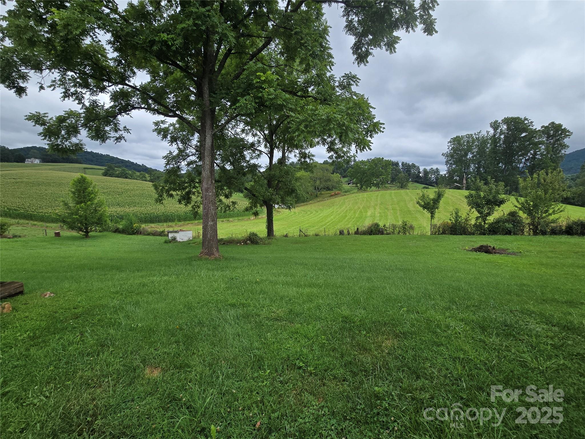 61 Brooks Branch Road Leicester, NC 28748 - Photo 40 of 43 Gallery Image 40