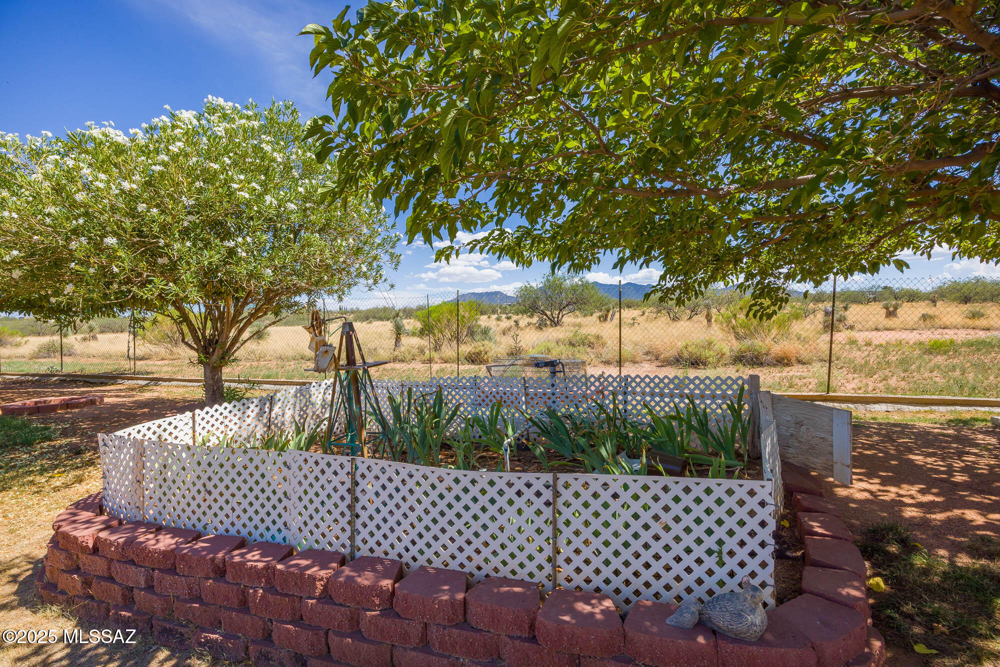 3173 West Williams Road Benson, AZ 85602 - Photo 32 of 47 Gallery Image 32