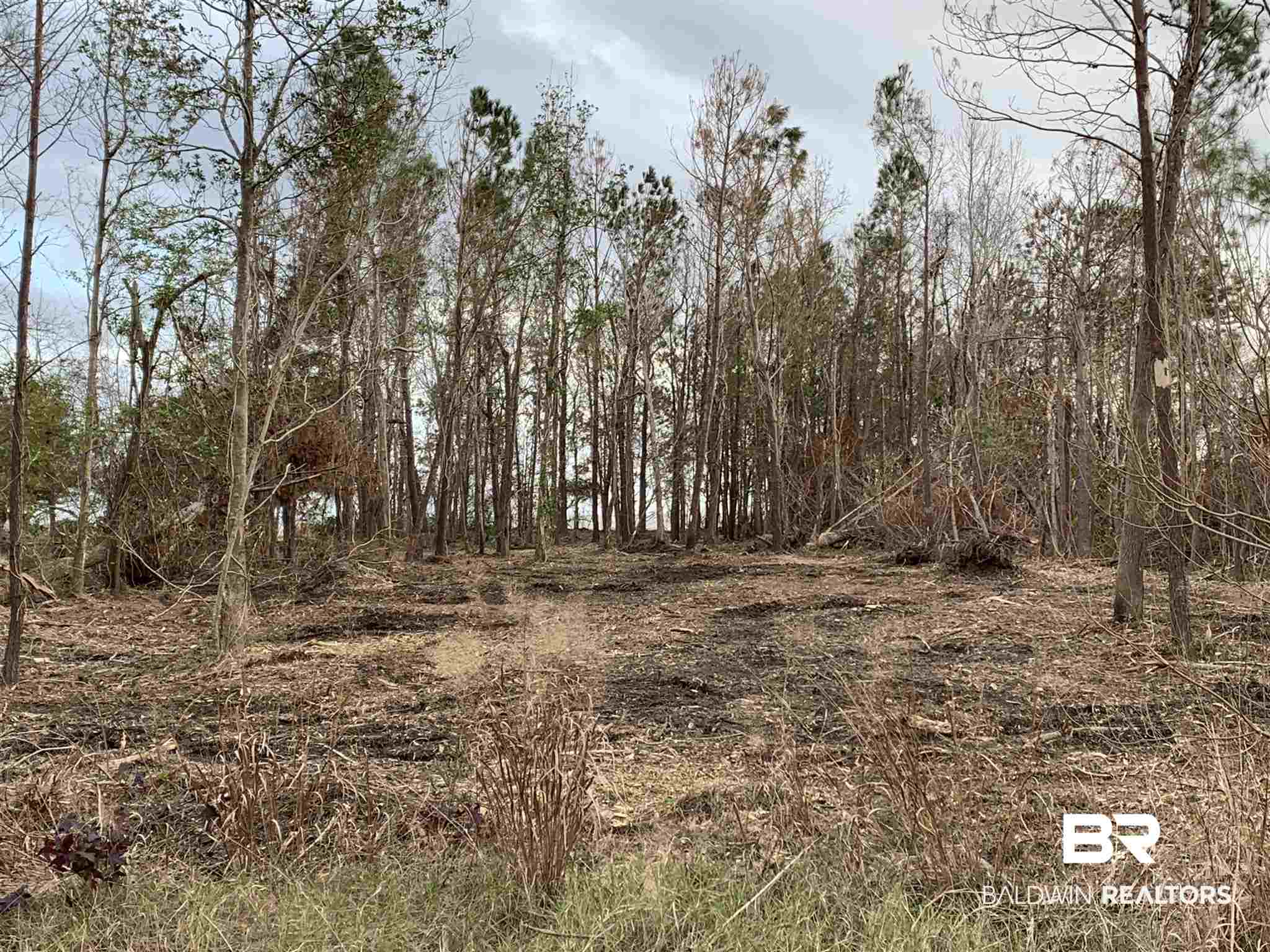 10501 County Road 1 Fairhope, AL 36532 - Photo 28 of 33