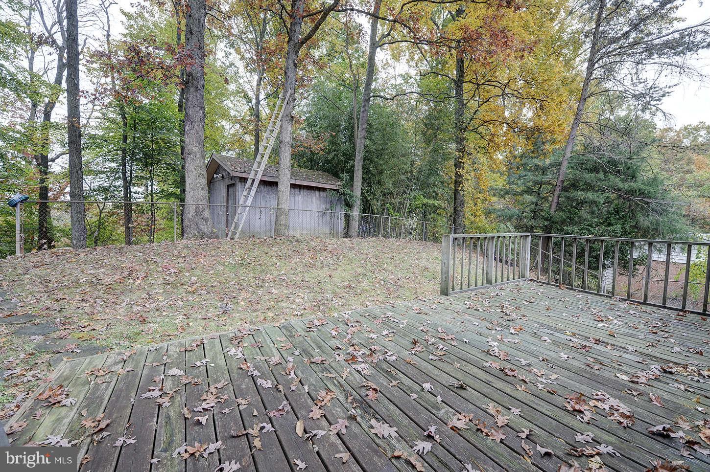 8457 Thames Street Springfield, VA 22151 - Photo 25 of 30 Exterior (Rear)