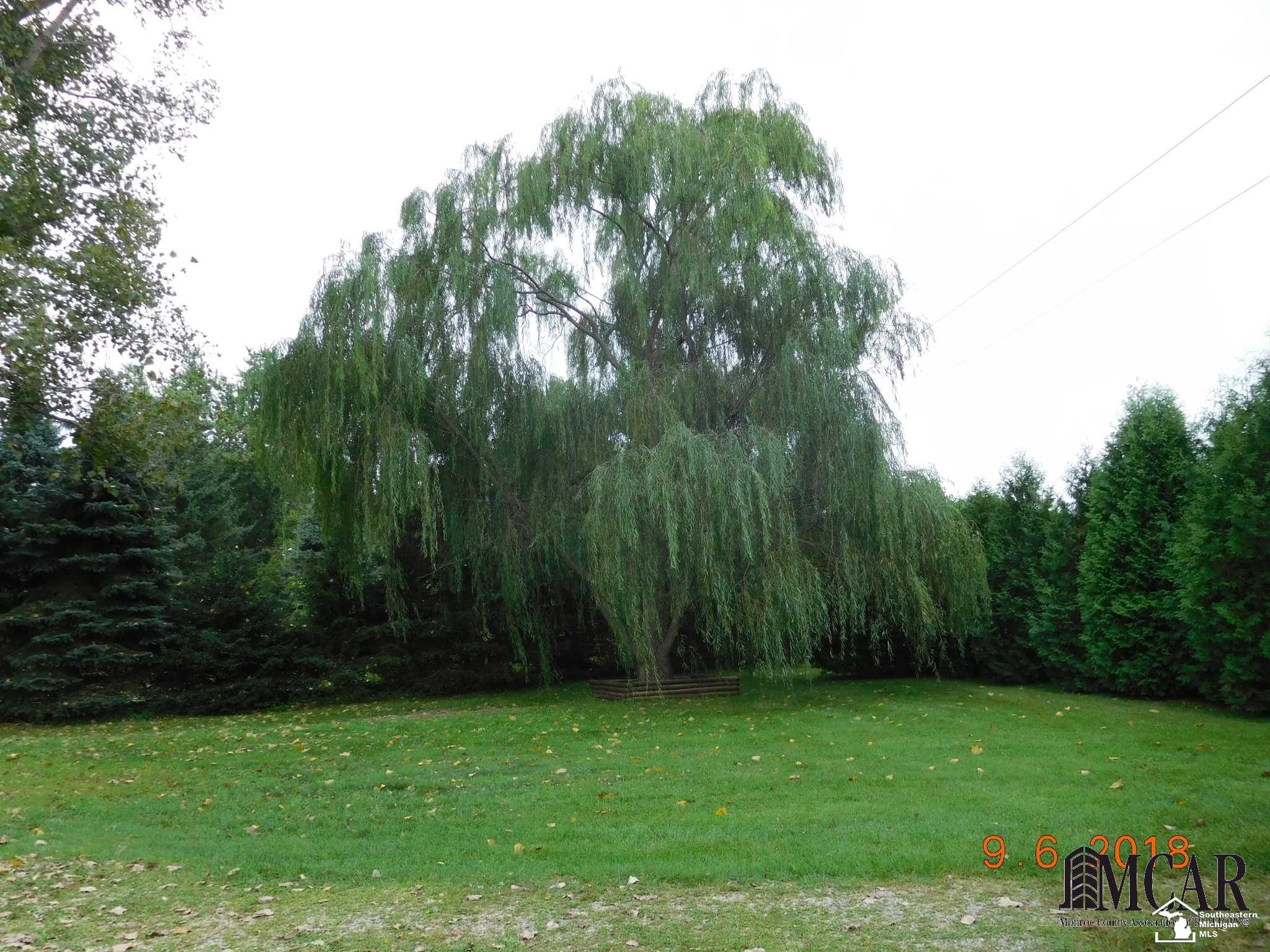 1726 Yensch Road Dundee, MI 48131 - Photo 14 of 38