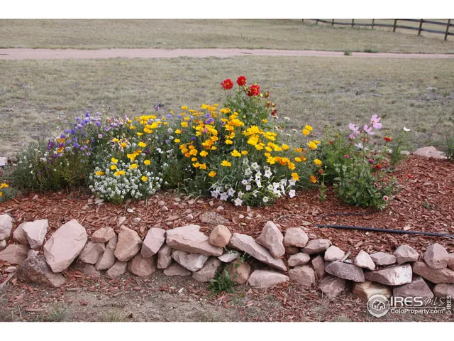 a picture of city view with lake and outdoor space