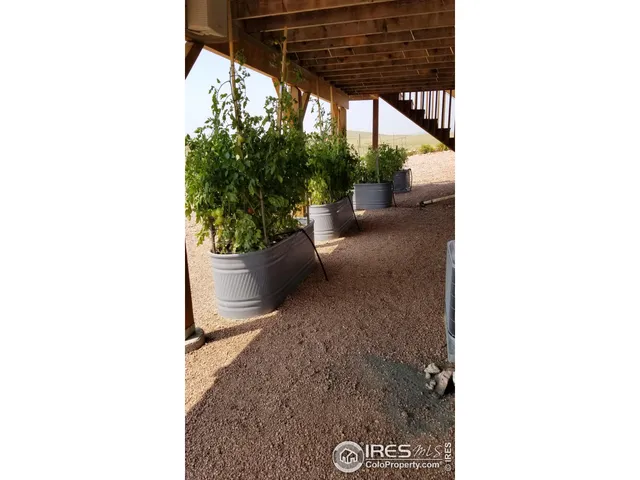 a close view of shoes