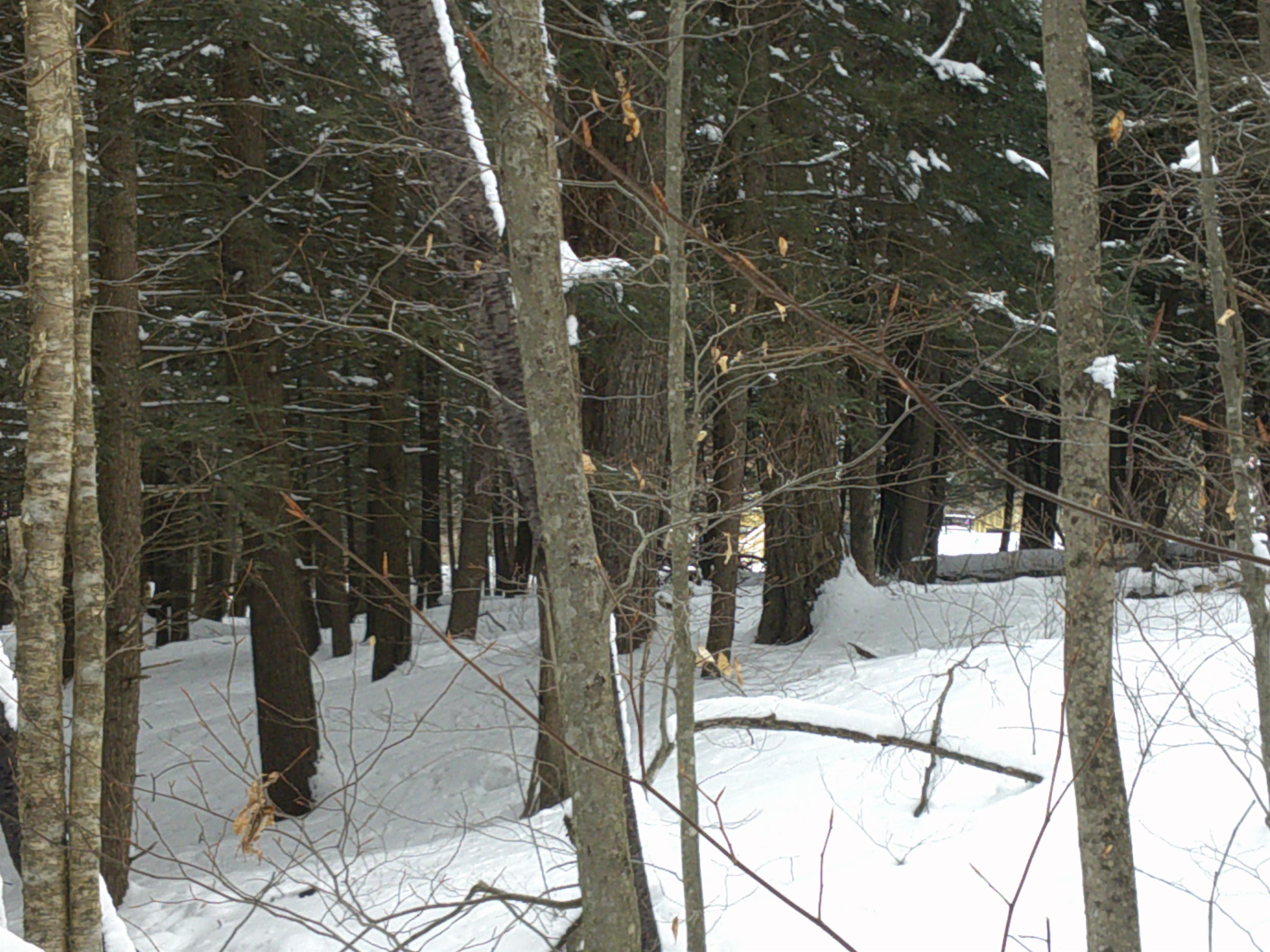 0 Plot Road, Unit 2 Johnson, VT 05656 - Photo 20 of 29