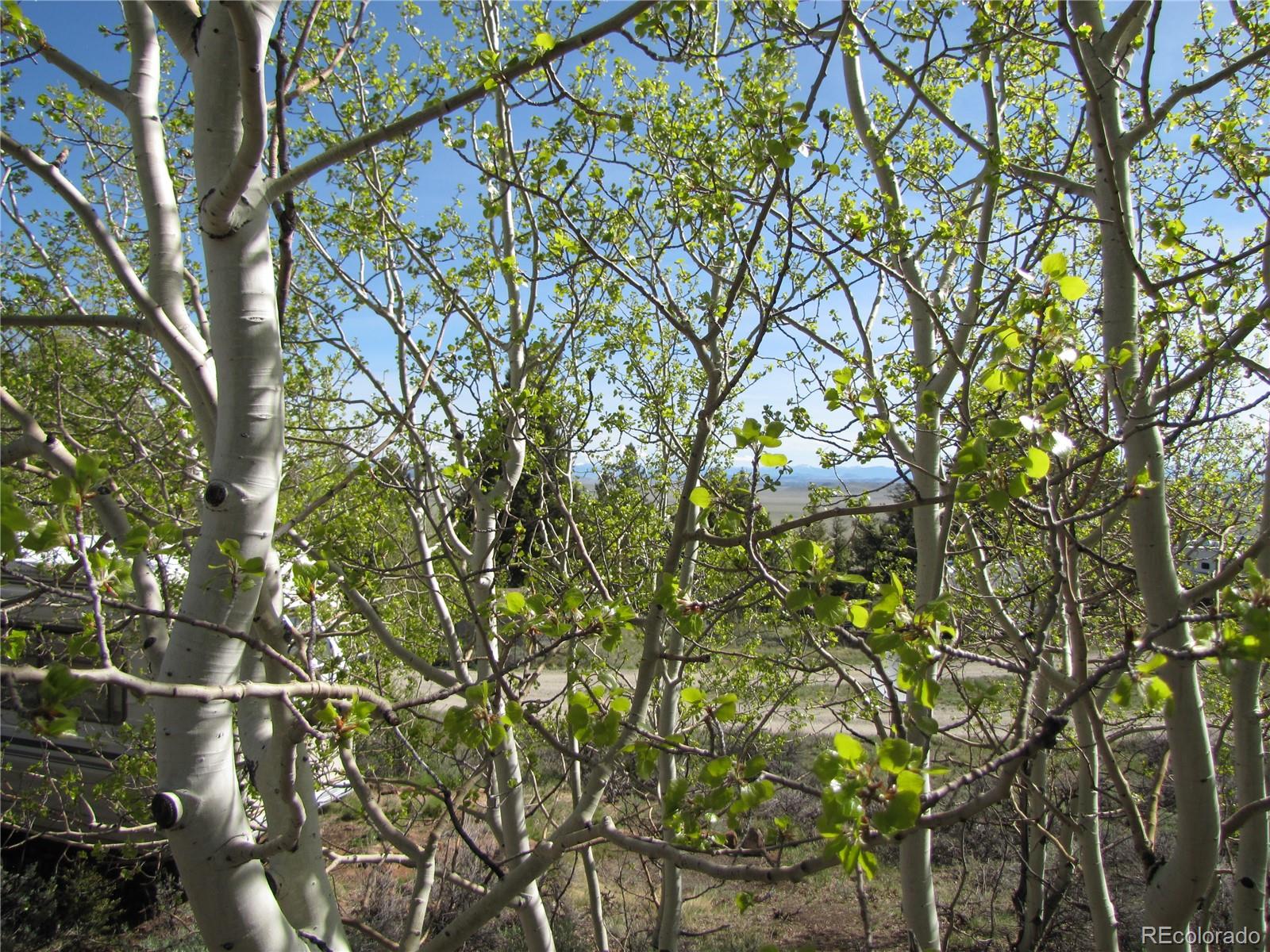 1842 Narrow Gauge Road Fairplay, CO 80440 - Photo 3 of 23