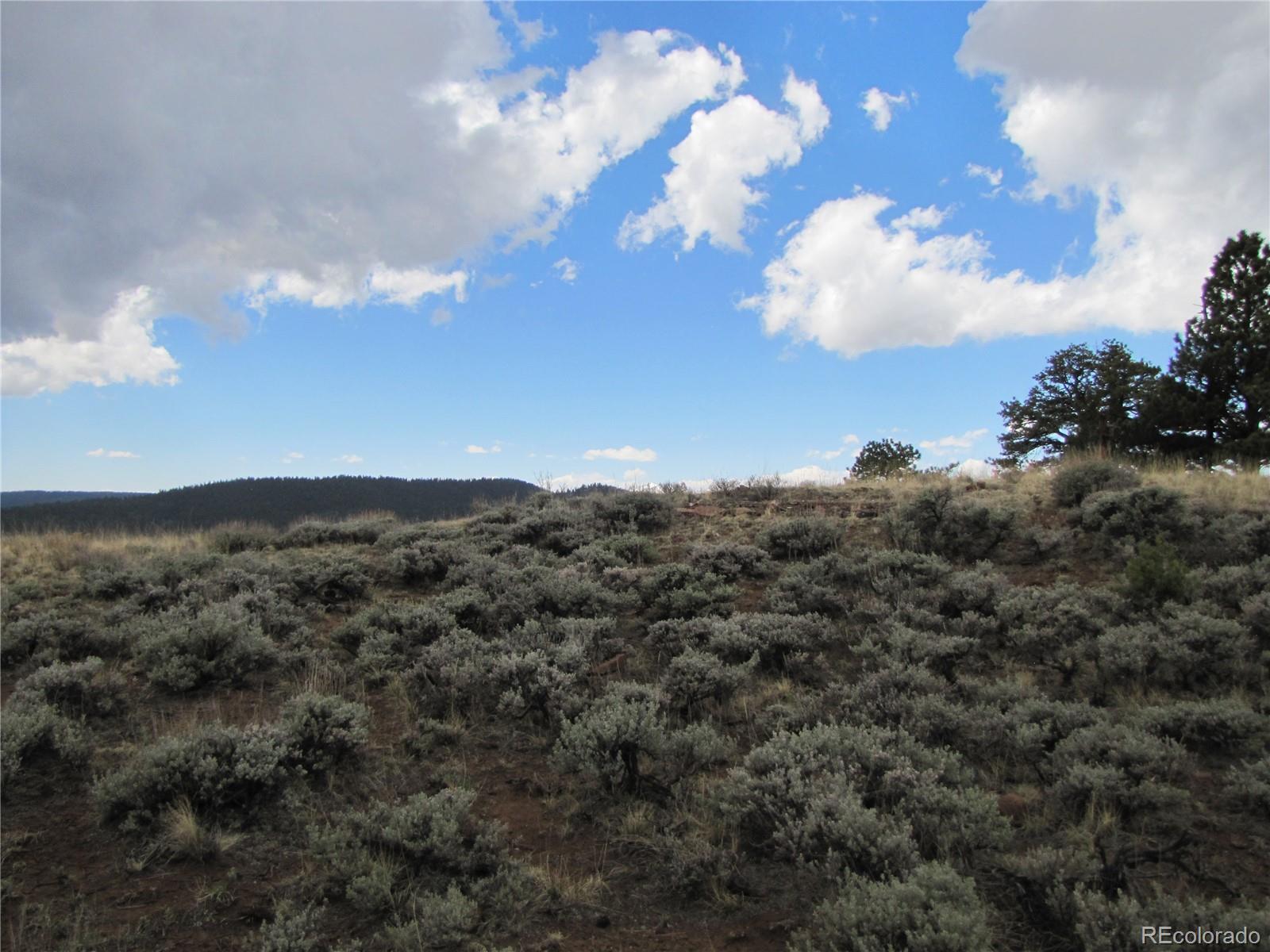 1842 Narrow Gauge Road Fairplay, CO 80440 - Photo 4 of 23