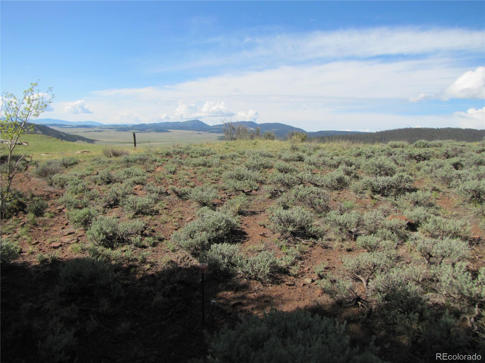 1842 Narrow Gauge Road Fairplay, CO 80440 - Photo 10 of 23