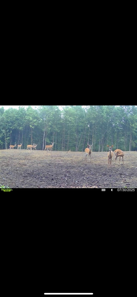 13980 12 12 Mile Road Rodney, MI 49342 - Photo 94 of 98