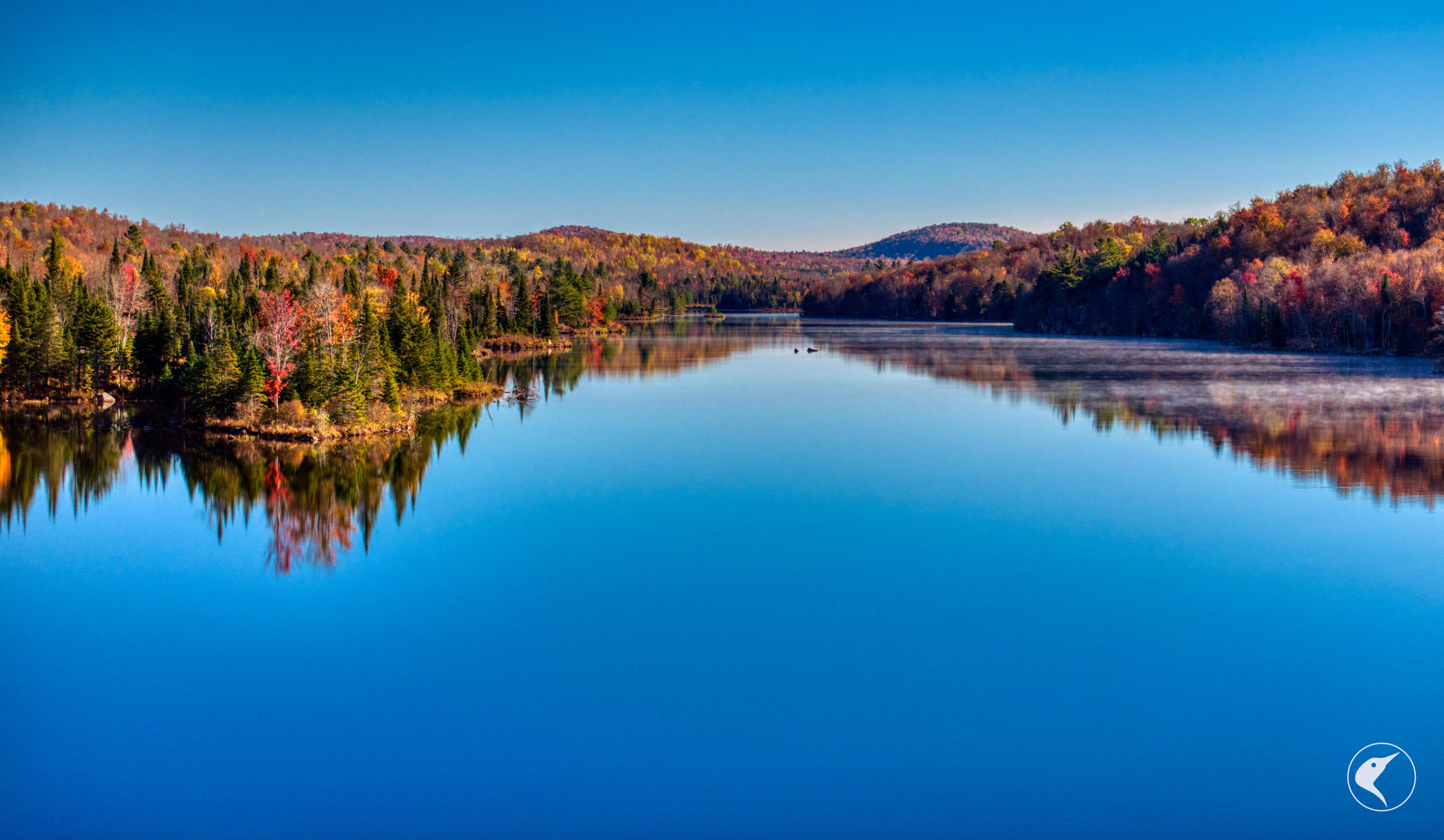 4891 State Rte 3 Newton Falls, NY 13666 - Photo 41 of 41 DJI_20241018094333_0272_D