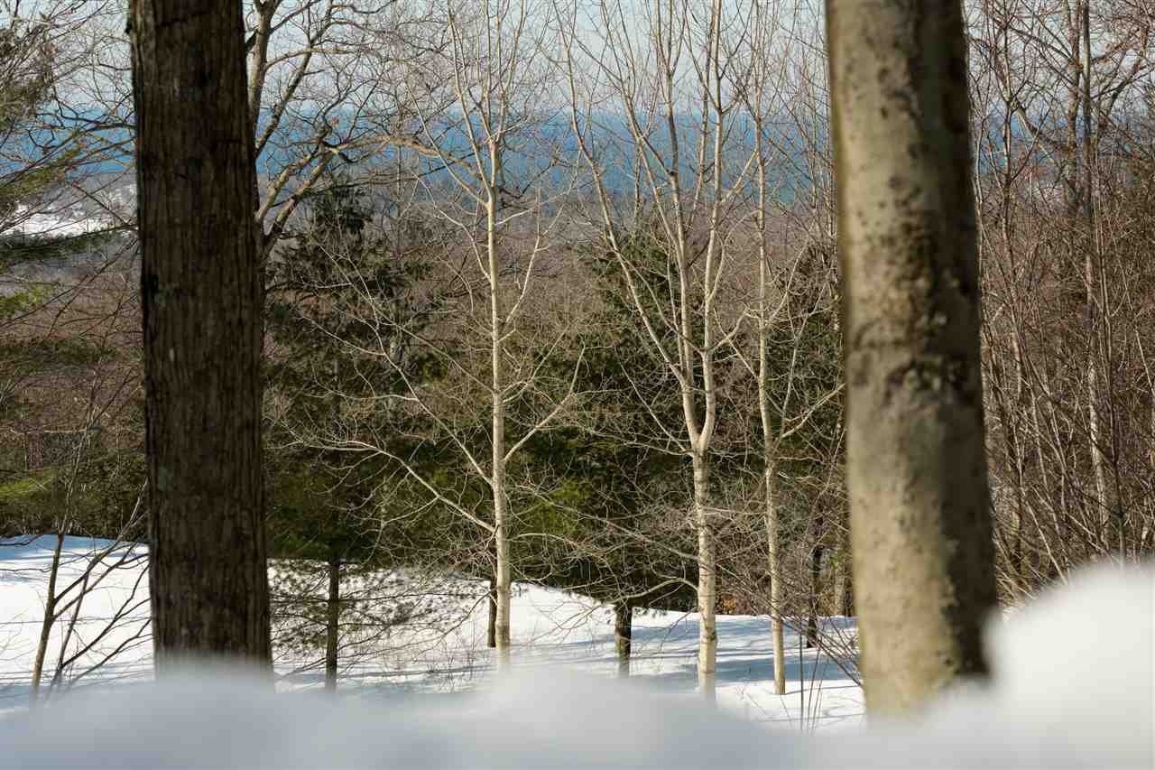 9800 Emerald Ridge Onekama, MI 49675 - Photo 4 of 66 1884540-3.JPG