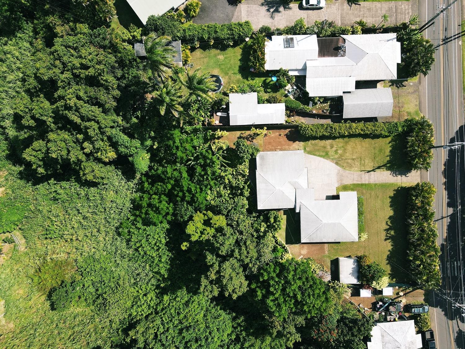 741 Haiku Road Haiku, HI 96708 - Photo 6 of 26 an aerial view of residential house with outdoor space and trees all around