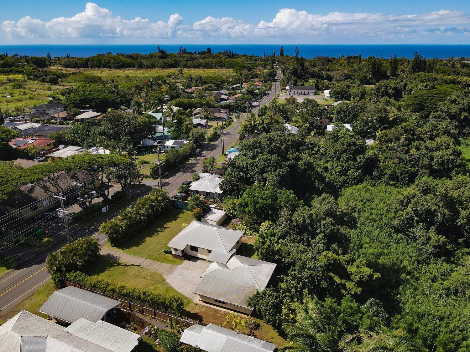741 Haiku Road Haiku, HI 96708 - Photo 8 of 26 an aerial view of a houses with a yard