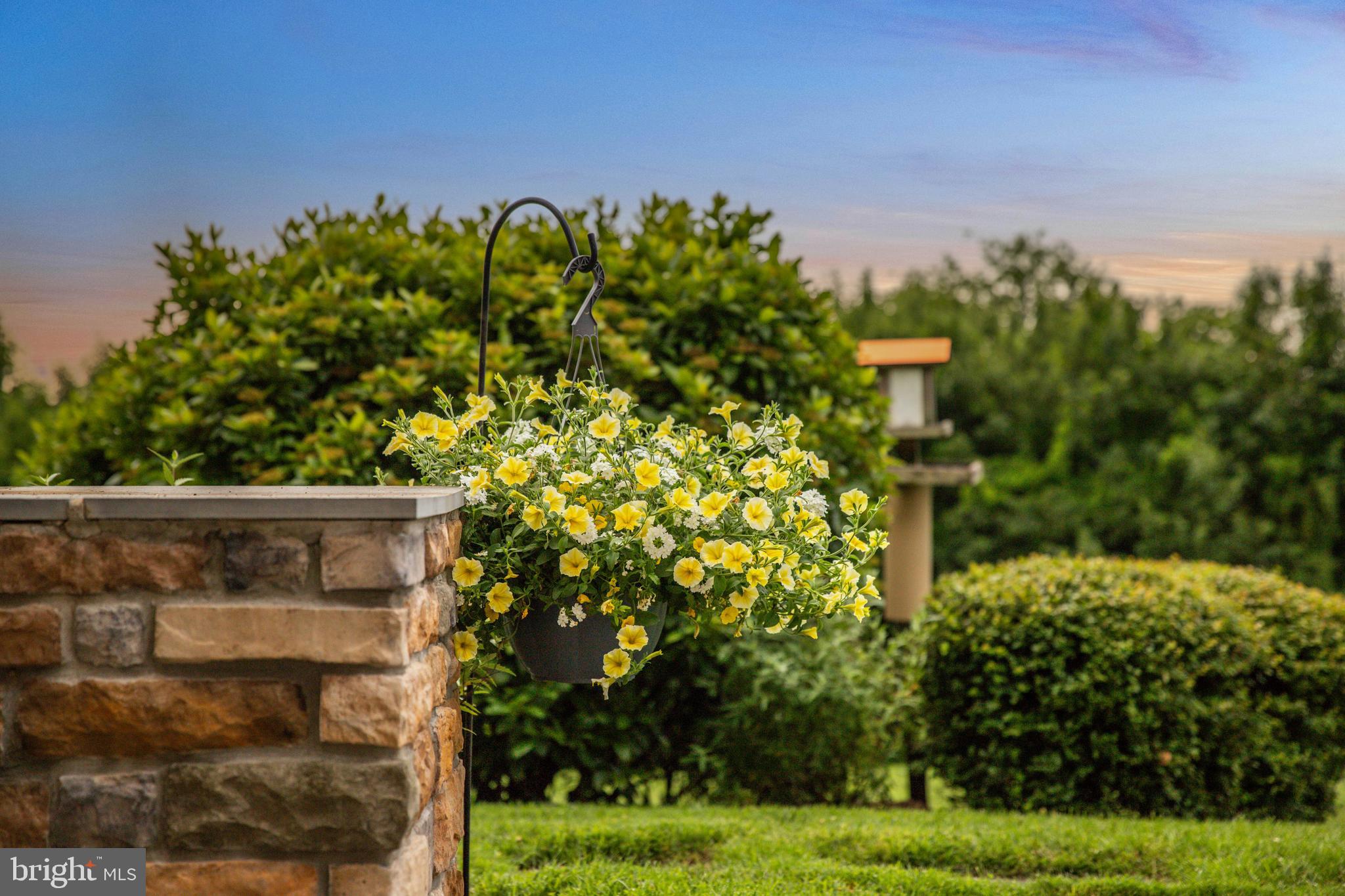 3913 Briar Knoll Circle Phoenix, MD 21131 - Photo 14 of 39 a view of a yard with plants