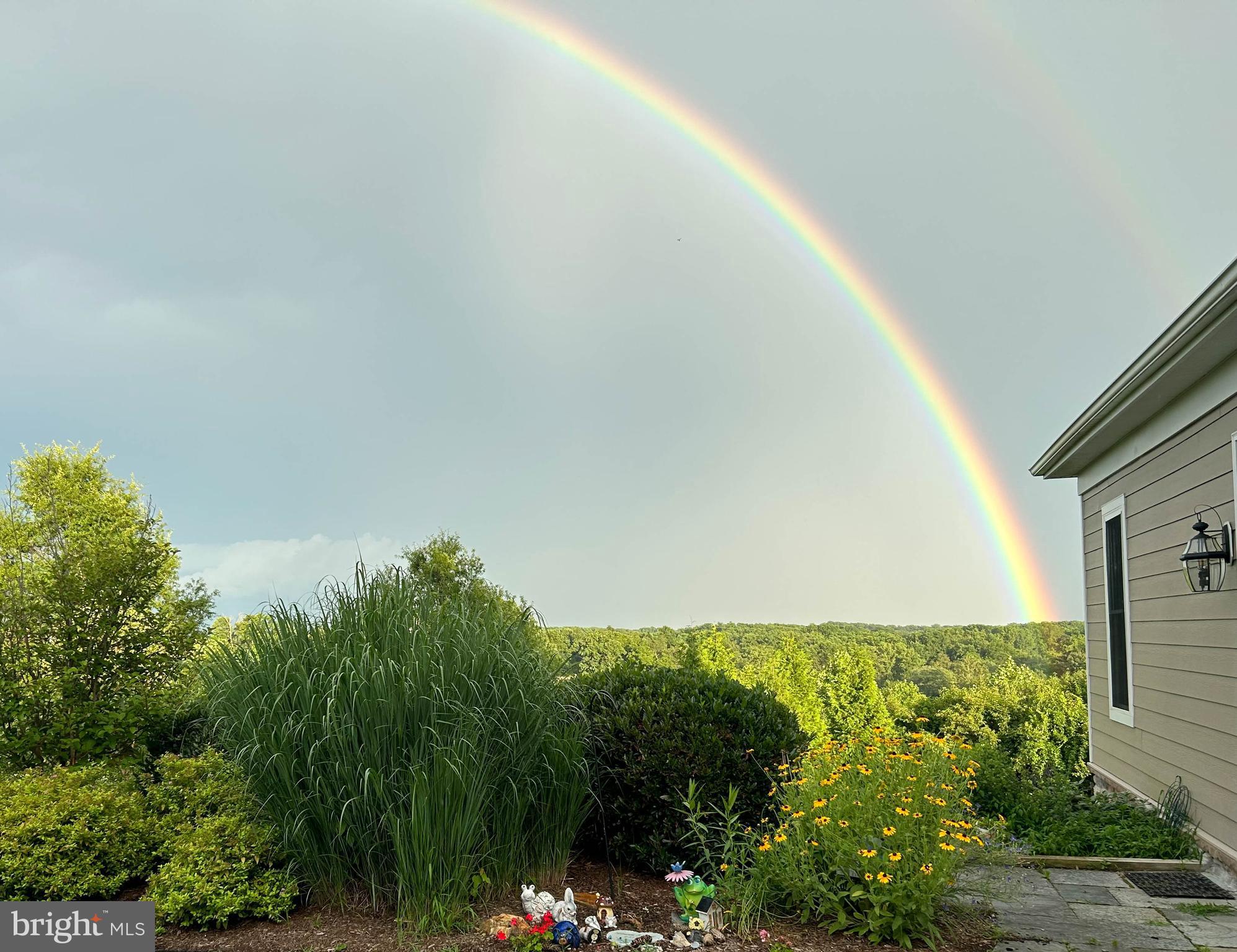 3913 Briar Knoll Circle Phoenix, MD 21131 - Photo 25 of 39 a view of lake view and tree s