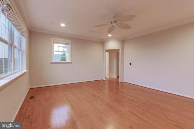 a view of a backyard with plants