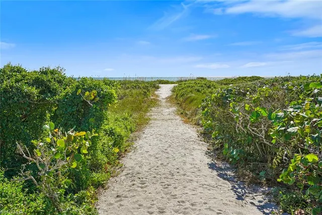 a view of a dry yard with wooden floor
