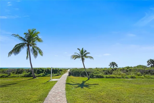 a view of a yard and a palm tree