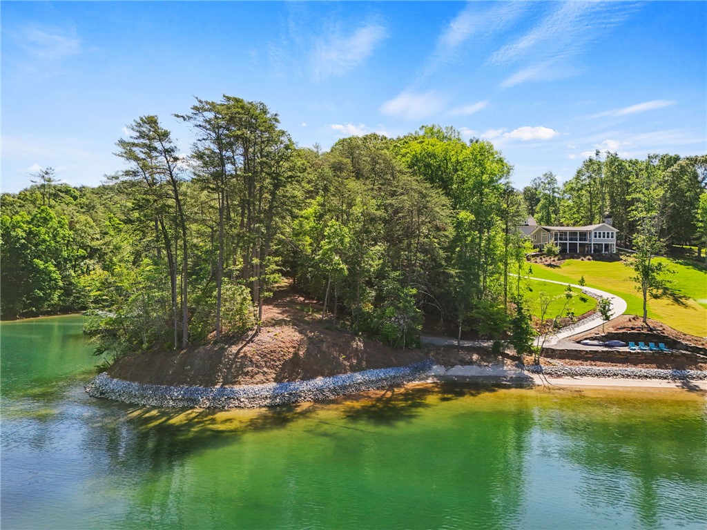 Lot 2 Johnson Drive Sunset, SC 29685 - Photo 3 of 22