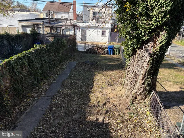 a view of a yard with plants and large trees