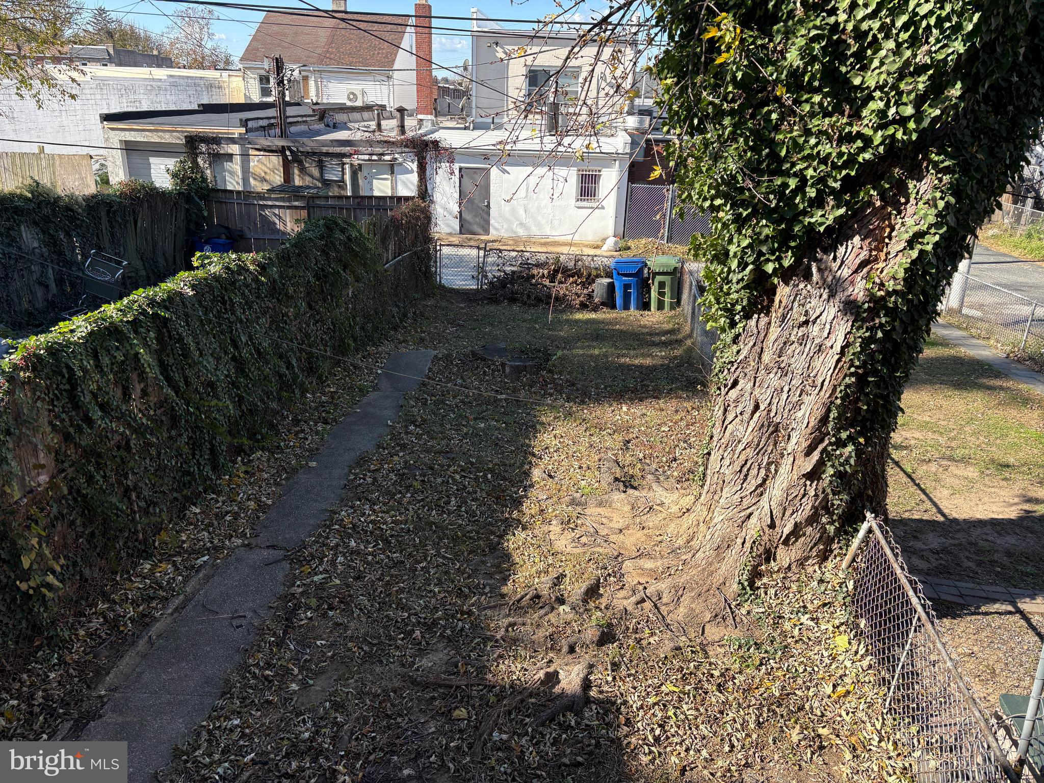 3820 2nd Street Baltimore, MD 21225 - Photo 22 of 23 a view of a yard with plants and large trees