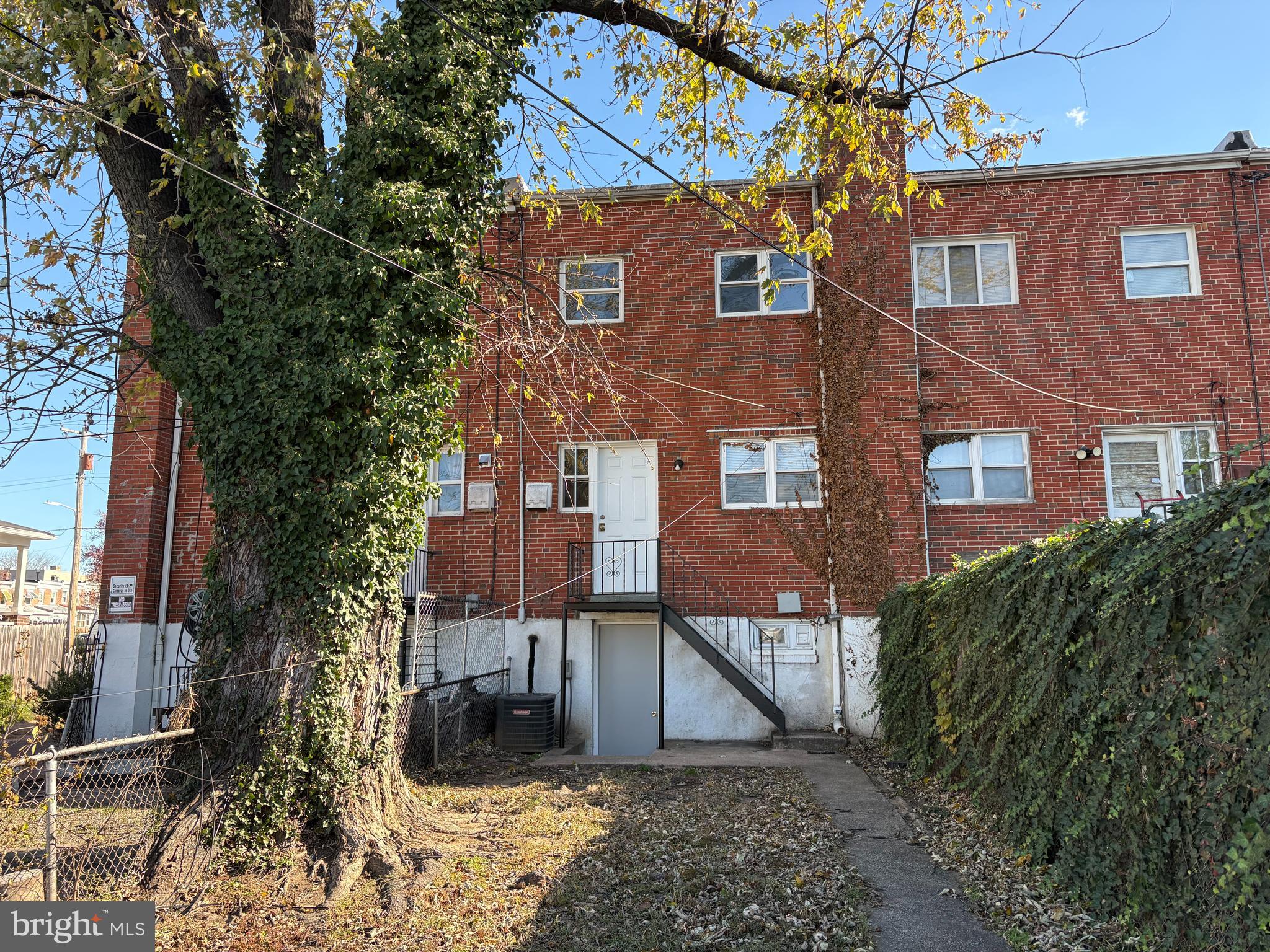 3820 2nd Street Baltimore, MD 21225 - Photo 23 of 23 a view of a house with a yard and large tree