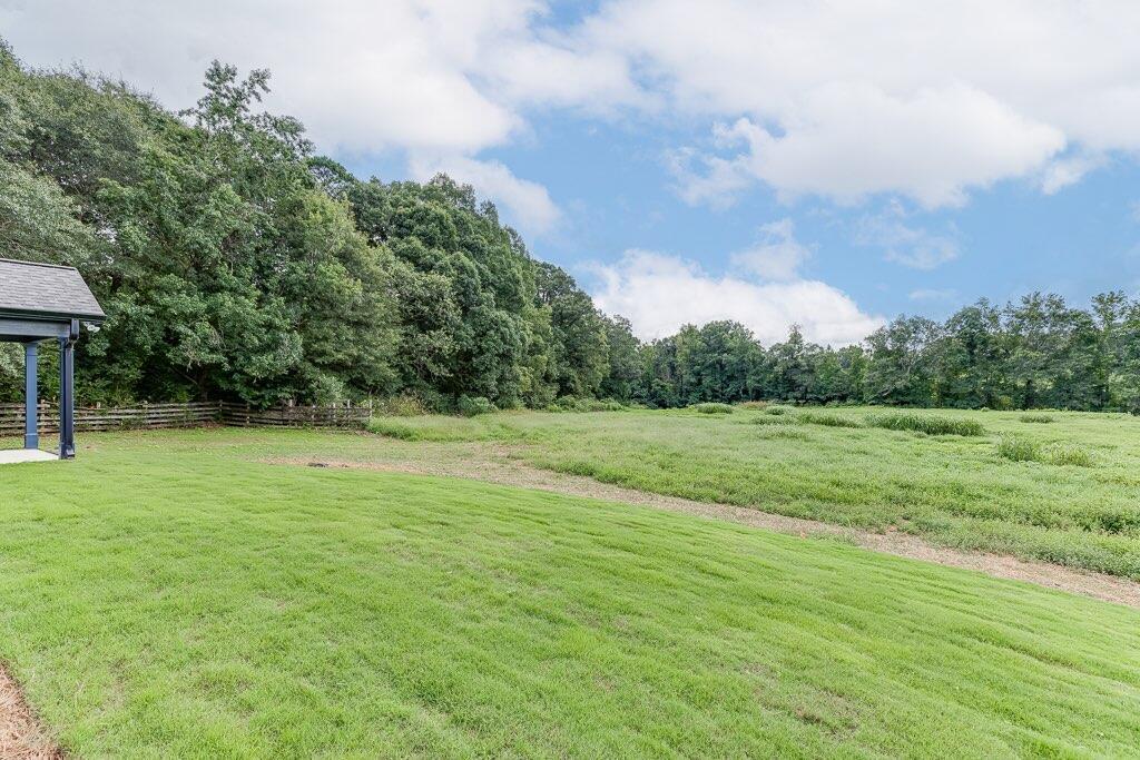 295 Anderson Thomas Road Martin, GA 30557 - Photo 30 of 44 a view of a green field with wooden fence