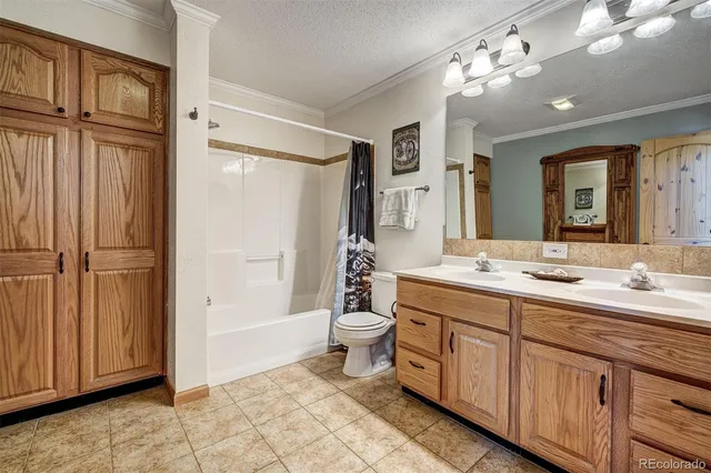 a bathroom with a double vanity sink a toilet and shower